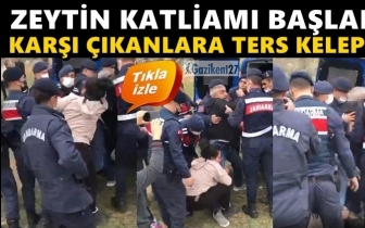Zeytin katliamına karşı &ccedil;ıkanlara ters kelep&ccedil;e!