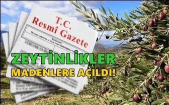 Zeytinlikler madenciliğe a&ccedil;ıldı!