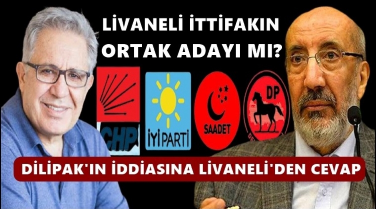 Z&uuml;lf&uuml; Livaneli ortak aday mı olacak?