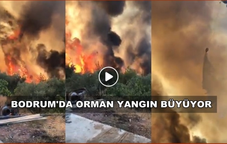 BODRUM&#039;DA ORMAN YANGINLARI DEVAM EDİYOR