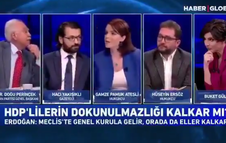 PERİNÇEK: MHP&#039;NİN BAŞINA GEÇMEKTEN ŞEREF DUYARIM!